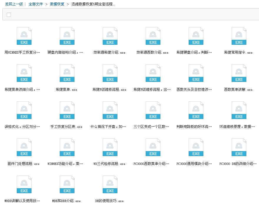 迅维数据恢复6期全套远程视频