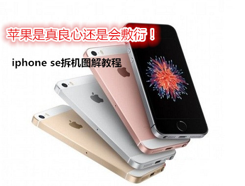 iphone se拆机 图1