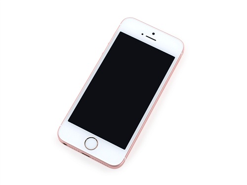 iphone se拆机 图2