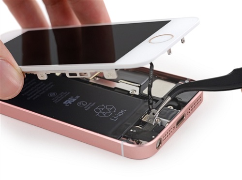 iphone se拆机 图5
