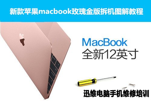 新款苹果macbook拆机 图1