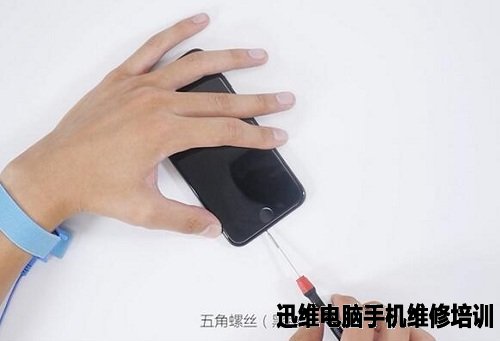 iPhone7拆机 图3