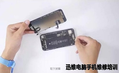 iPhone7拆机 图11