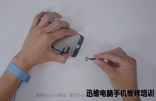 iPhone7拆机 图41