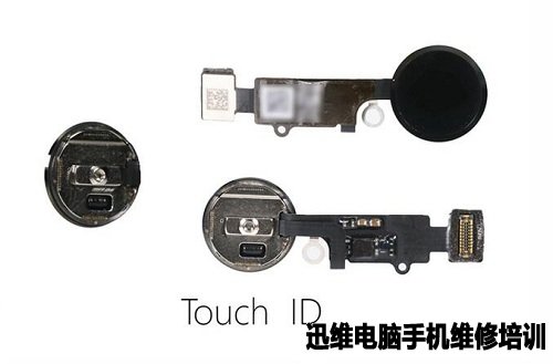 iPhone7拆机 图54