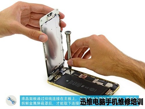 苹果家族：iPhone6 Plus拆机图解