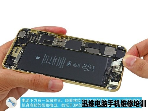 苹果家族：iPhone6 Plus拆机图解