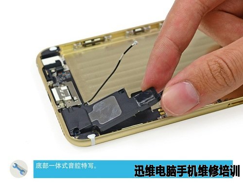 苹果家族：iPhone6 Plus拆机图解