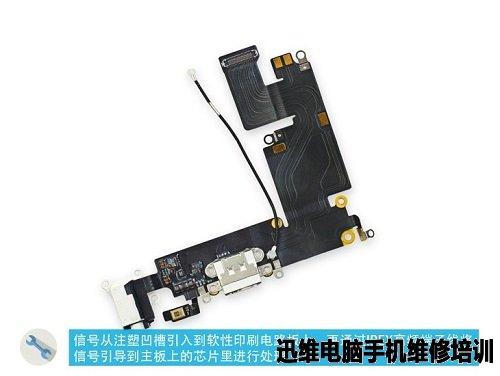 苹果家族：iPhone6 Plus拆机图解