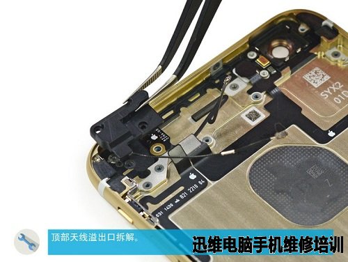 苹果家族：iPhone6 Plus拆机图解
