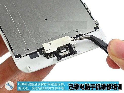苹果家族：iPhone6 Plus拆机图解