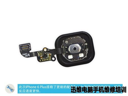 苹果家族：iPhone6 Plus拆机图解