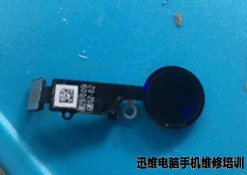 iPhone 7 Plus换外屏维修 图10