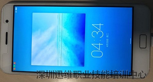 （图1）