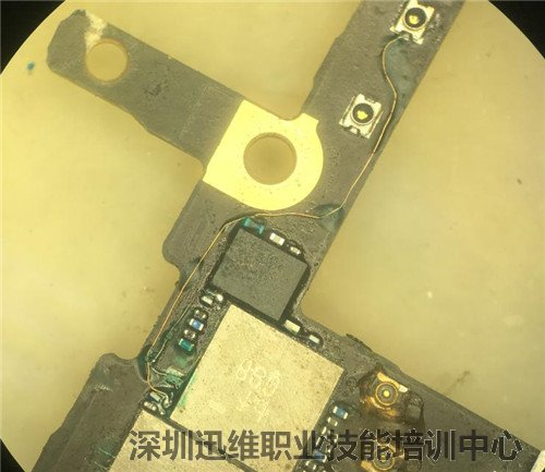 手机上不了网