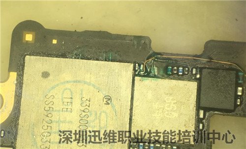 手机上不了网