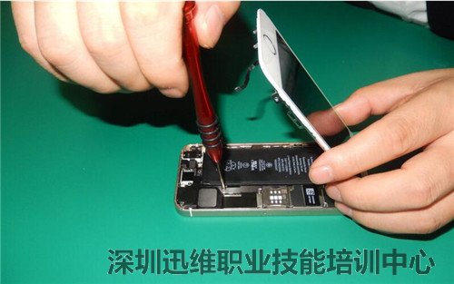 迅维网校