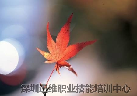 欲成大事者，绝不在烂事上纠缠