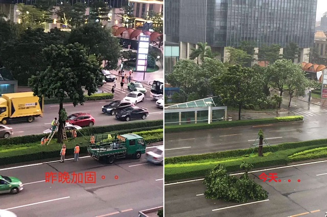 来迅维实地培训学习！和台风“山竹”不期而遇