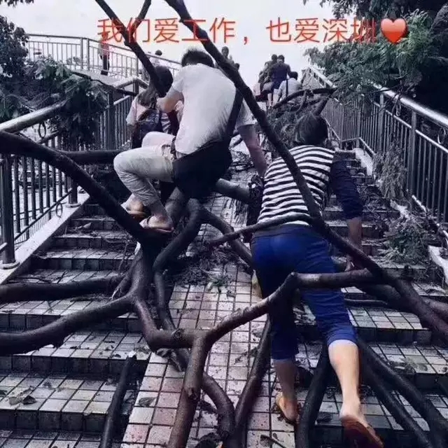 来迅维实地培训学习！和台风“山竹”不期而遇
